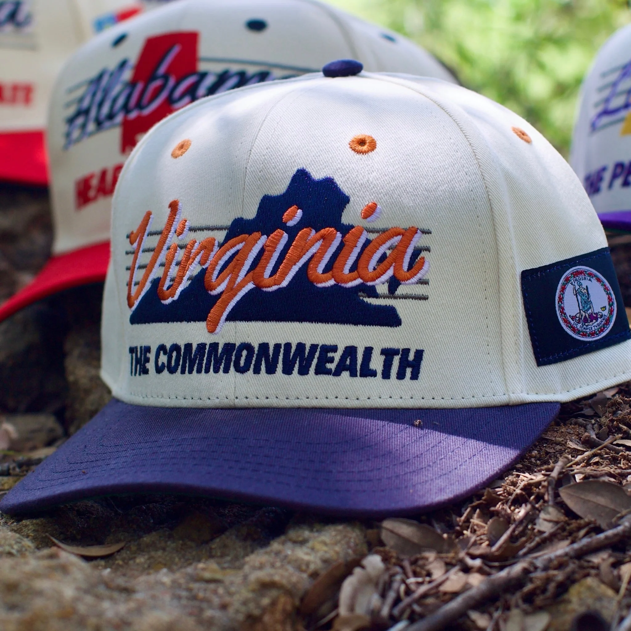 Virginia Snapback - The Sampson - Image 4